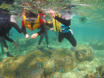 diving&workshop IHANASHI（ダイビングアンドワークショップイハナシ）に投稿された画像（2018/7/26）