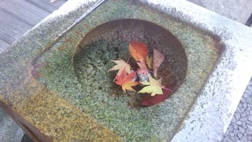 箱根美術館に投稿された画像（2018/11/24）