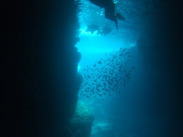 沖縄ダイビングショップシーモールに投稿された画像（2019/1/30）