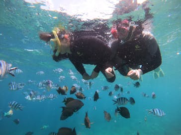 武藤潜水に投稿された画像（2019/5/5）