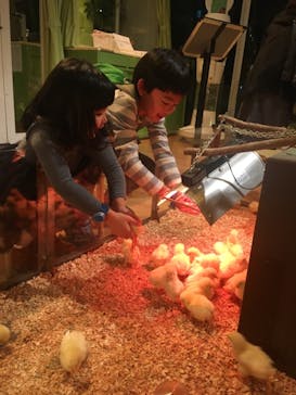 オービィ横浜に投稿された画像（2018/12/16）