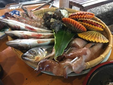 天草海鮮蔵・天草イルカウッチングセンターに投稿された画像（2017/12/14）