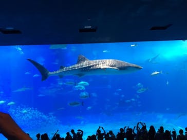 ジャンボツアーズに投稿された画像（2018/8/2）