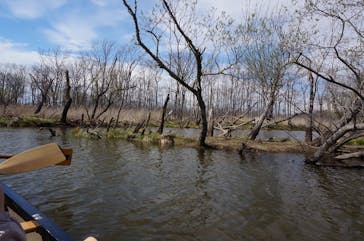 B&B かむほーむに投稿された画像（2018/5/5）