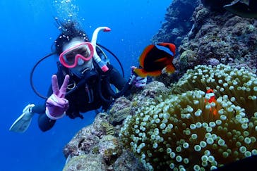 ダイビングショップ Sea Free（シーフリー）に投稿された画像（2018/12/3）