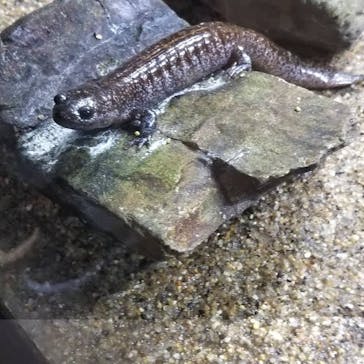 すみだ水族館に投稿された画像（2019/1/3）