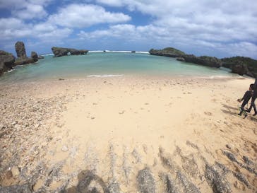 武藤潜水に投稿された画像（2019/5/21）