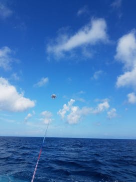 CoCoMarin（ココマリン）に投稿された画像（2018/8/4）