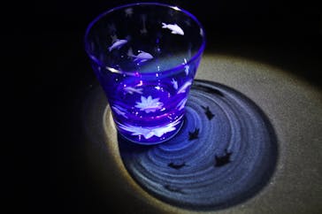 創吉に投稿された画像（2018/12/25）