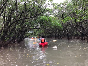 アイランドサービスに投稿された画像（2018/2/25）