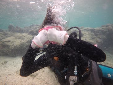 武藤潜水に投稿された画像（2019/5/8）