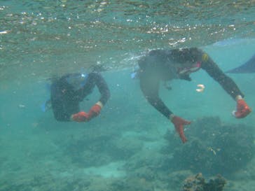 沖縄ダイビングショップシーモールに投稿された画像（2019/3/4）