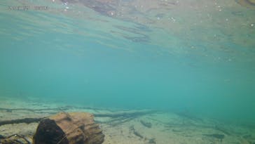 Matatabi（マタタビ）に投稿された画像（2018/9/2）