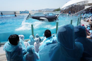 鴨川シーワールドに投稿された画像（2018/4/22）