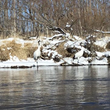 B&B かむほーむに投稿された画像（2018/2/16）