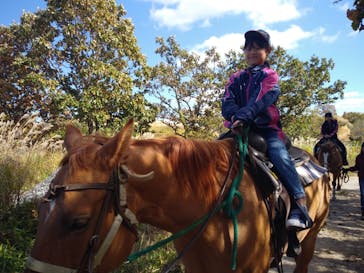 夢☆大地 グリーンバレーに投稿された画像（2018/10/28）