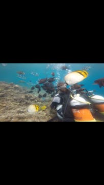 青の洞窟専門店　沖縄ダイビングショップ和に投稿された画像（2019/2/19）