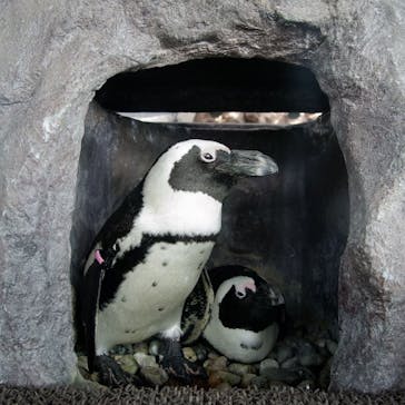 京都水族館に投稿された画像（2018/10/22）