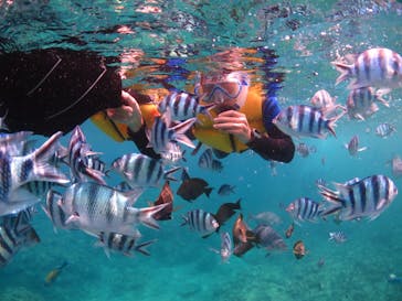 diving&workshop IHANASHI（ダイビングアンドワークショップイハナシ）に投稿された画像（2018/7/28）