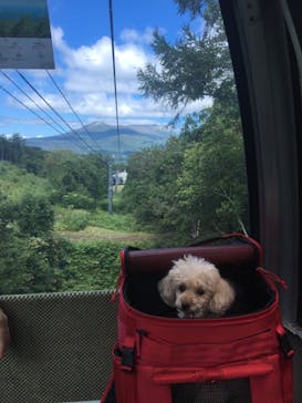 函館七飯 ゴンドラに投稿された画像（2018/9/1）