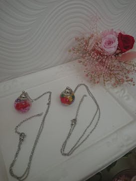 ずこうしつ〜sugamo〜に投稿された画像（2019/4/29）