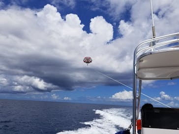 Sea World（シーワールド）に投稿された画像（2018/8/31）