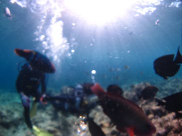 ドロップイン 沖縄に投稿された画像（2019/3/20）