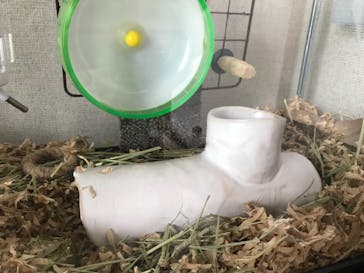 陶芸教室 土魂乗に投稿された画像（2018/9/23）