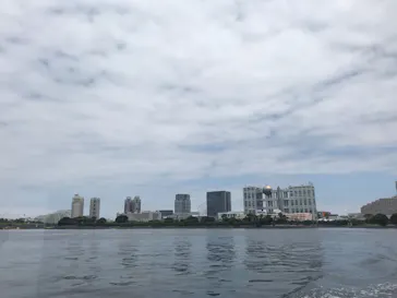 夢観月に投稿された画像（2018/6/17）