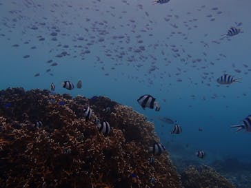 ガイド屋さんに投稿された画像（2018/10/21）