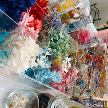 ずこうしつ〜sugamo〜に投稿された画像（2019/6/1）