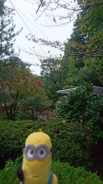 上方温泉 一休 京都本館に投稿された画像（2017/10/15）