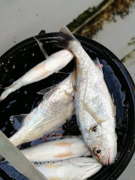 asoview!DAY（アソビューデイ）に投稿された画像（2019/2/3）