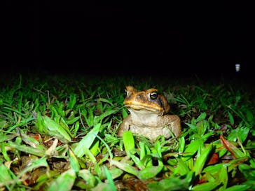 石垣島 ADVENTURE PiPi（イシガキジマアドベンチャーピピ）に投稿された画像（2019/2/26）