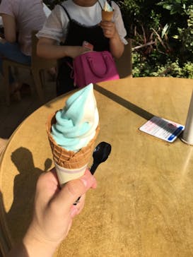 サンシャイン水族館に投稿された画像（2018/7/26）