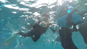 青の洞窟専門店　沖縄ダイビングショップ和に投稿された画像（2018/4/4）