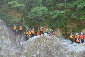 ネイチャー・ナビゲーター（みなかみ）に投稿された画像（2018/6/3）