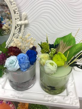 ずこうしつ〜sugamo〜に投稿された画像（2019/3/21）