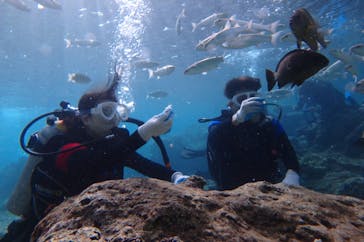 diving&workshop IHANASHI（ダイビングアンドワークショップイハナシ）に投稿された画像（2018/11/5）