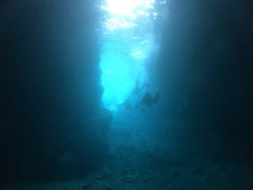 武藤潜水に投稿された画像（2019/3/20）