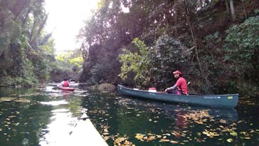 カヌーリゾートたまよどに投稿された画像（2018/11/19）