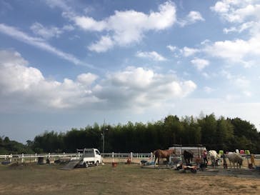 ハッピーホースファームに投稿された画像（2018/9/19）