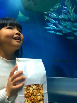 マクセル アクアパーク品川に投稿された画像（2018/11/23）