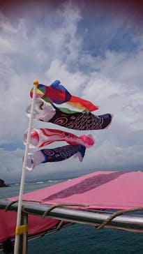 初心者専門店NEOMARINE石垣島に投稿された画像（2019/4/29）