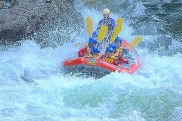 ネイチャー・ナビゲーター（みなかみ）に投稿された画像（2018/6/2）