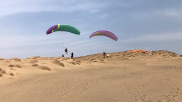 鳥取砂丘パラグライダー体験スクール（砂丘本舗）に投稿された画像（2019/3/30）