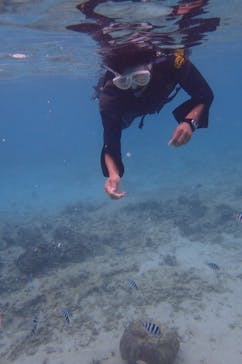 B-nature（ビーネイチャー）に投稿された画像（2017/10/14）