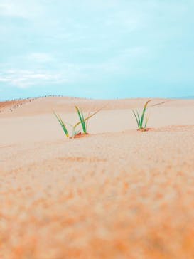 TRAIL ON（トレイル オン）に投稿された画像（2019/4/29）