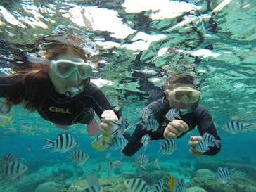 武藤潜水に投稿された画像（2017/12/22）