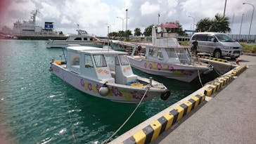 初心者専門店NEOMARINE石垣島に投稿された画像（2019/4/29）